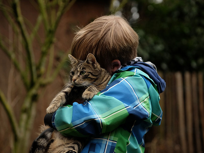 Foto -slachtoffer met kat-